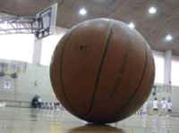 basket_pallone-b
