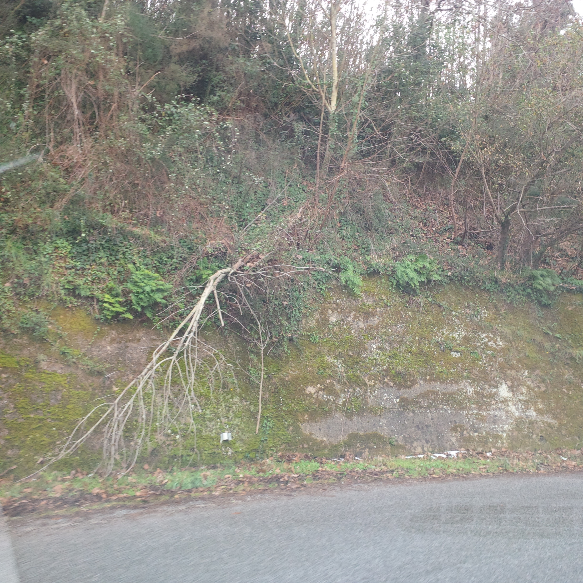 Strade provinciali della Calabria in dissesto: segnali crivellati