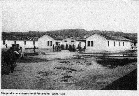 Memorie – Quei cani che restarono a Ferramonti