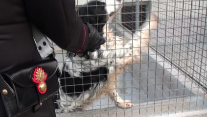 vlcsnap-0300-09-14-10h03m16s119