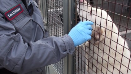 vlcsnap-2708-01-27-07h33m07s017