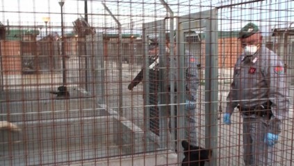 vlcsnap-3881-05-14-10h58m41s751