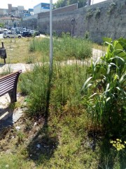 IMG-20170612-WA0042