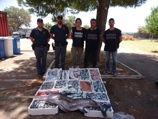 Gioia Tauro (RC) - Guardia Costiera: sequestro di 150 kg di prodotto ittico