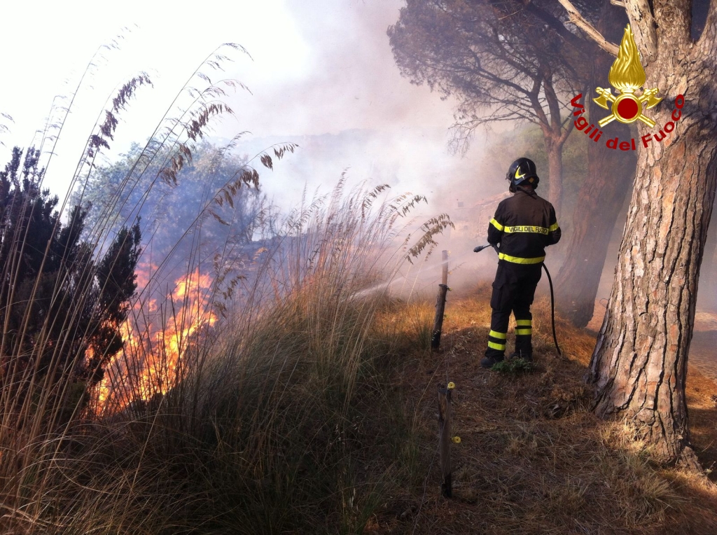 Messina – Incendio nella pineta del villaggio di Salice (FOTO E VIDEO)