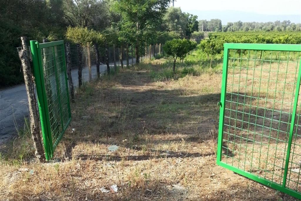 Gioia Tauro (RC) – Nuova intimidazione a coop Valle Marro: 6 in una settimana