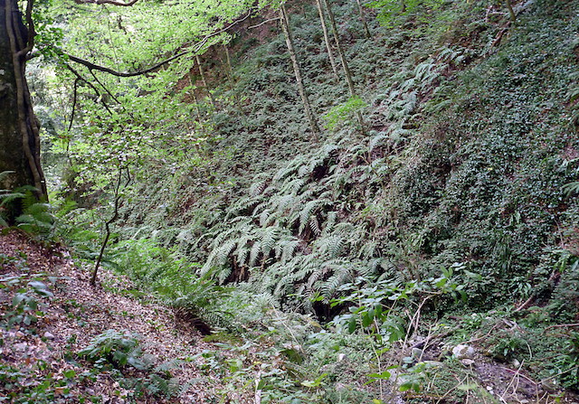 Meeting internazionale: Il Parco Nazionale dell’Aspromonte tra Bio e Geo-diversità