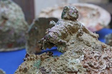 Crotone, l’arte valica i cancelli del carcere