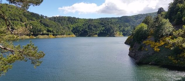 Nuovi incentivi per il Turismo Scolastico e Sociale nel Parco dell’Aspromonte