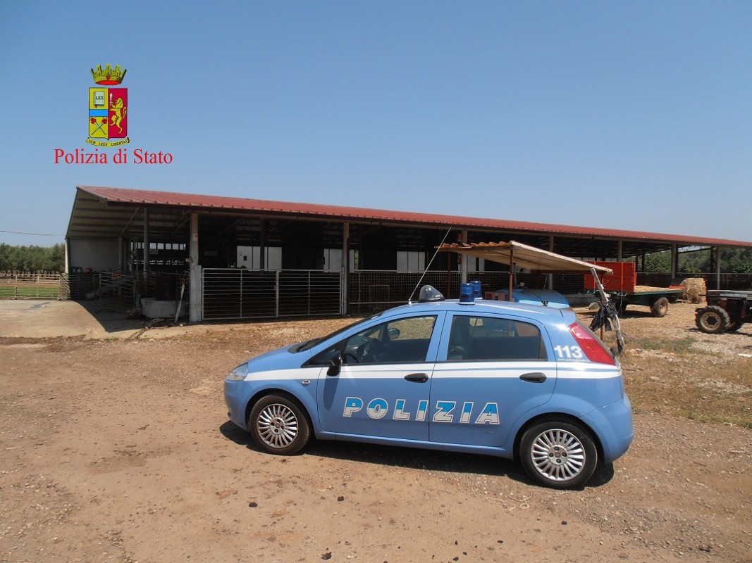 'Ndrangheta, tribunale dispone confisca dei beni alla cosca Crea