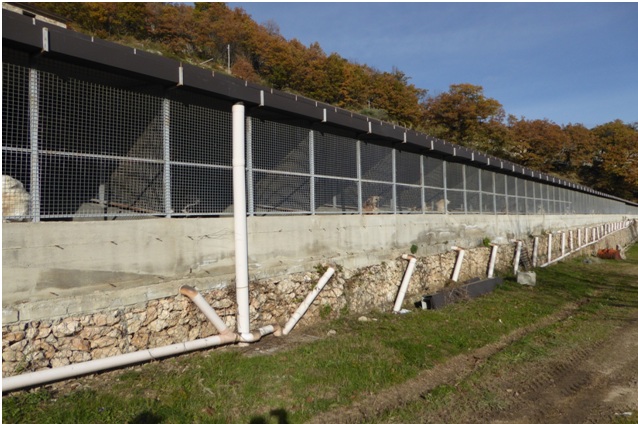 Canile di Mendicino (cs) – Notificati avvisi di conclusione indagine a otto persone