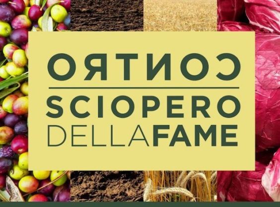 Reggio Calabria – Fratelli d’Italia in piazza nella giornata contro lo Ius Soli