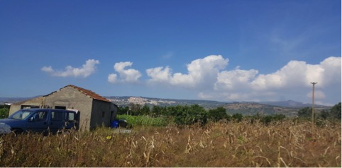 Produzione e spaccio di stupefacenti – Tre arresti nel Vibonese