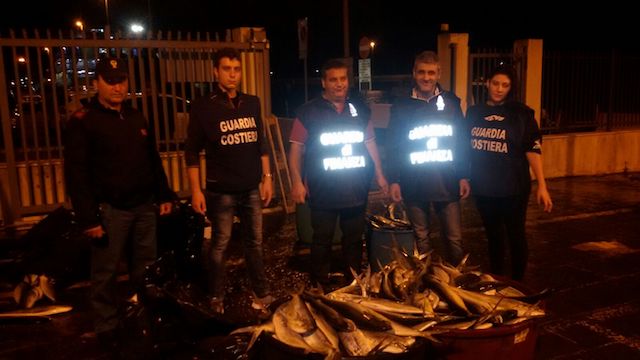 Villa San Giovanni – Blitz agli imbarcaderi: sequestrati 1.250 Kg di pesce
