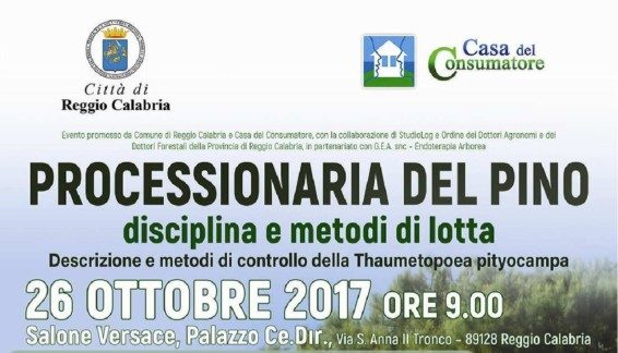 Gioia Tauro: lunedì assemblea pubblica di Confindustria Reggio Calabria