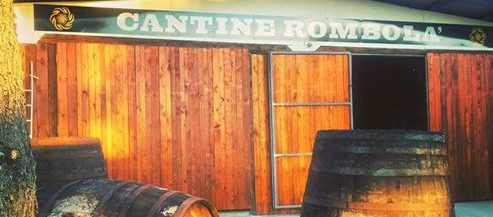 Vibo Valentia – Alle Cantine Rombolà l’iniziativa “Vendemmia in festa”