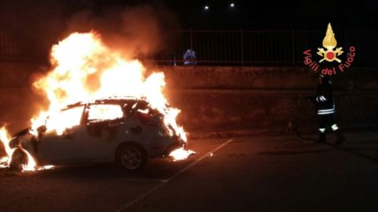 Ancora fiamme nella pineta di Siano a Catanzaro