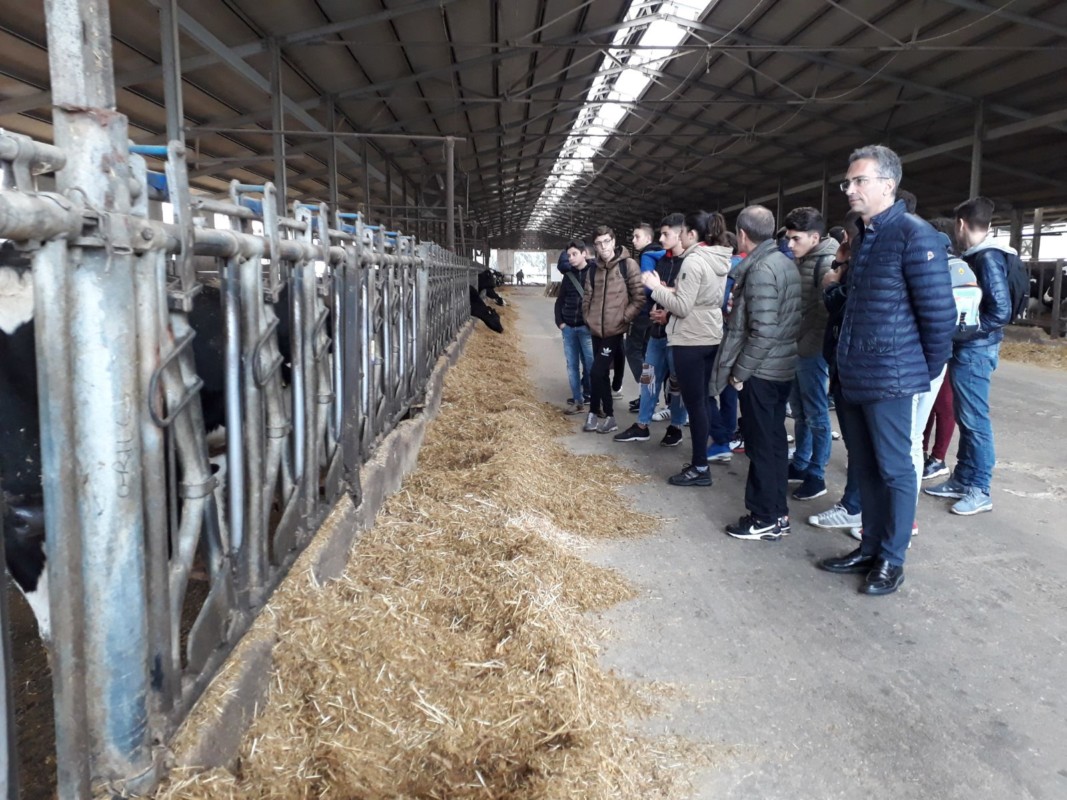 Pmi Day, 700 studenti in visita ad aziende reggine