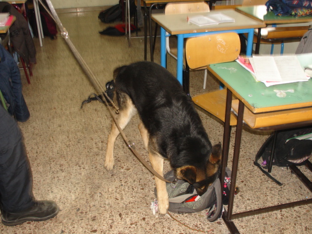 Vibo Valentia – “Fiutata” droga nei bagni della scuola: rinvenuta marijuana