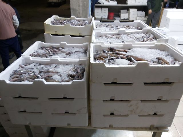 Reggio Calabria, rinvenuti 2 quintali di prodotto ittico privo di tracciabilità