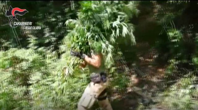 La droga calabrese anche sulle piste da sci di Cortina – Blitz nella Piana di Gioia Tauro