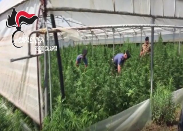 La droga da Gioia Tauro a Cortina – I NOMI dei soggetti coinvolti