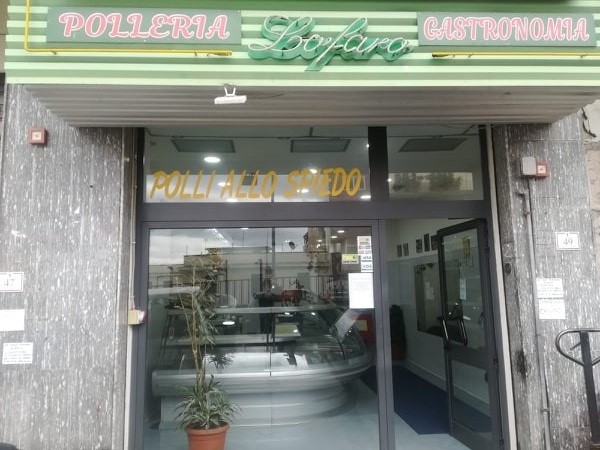 Macelleria-Gastronomia Lofaro, “tempio” di sapienza creativa, sapori e carni selezionate