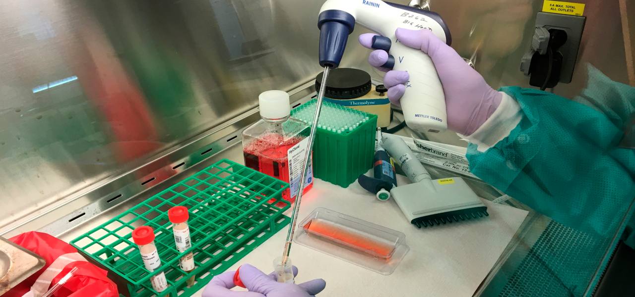 Reggio Calabria – Centro Studi Smorto smentisce fake news che gira su WhatsApp: ‘Nessun dipendente con il coronavirus, siamo chiusi dal 12’