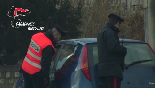 Scovata dai Carabinieri una piantagione di canapa a Rosarno