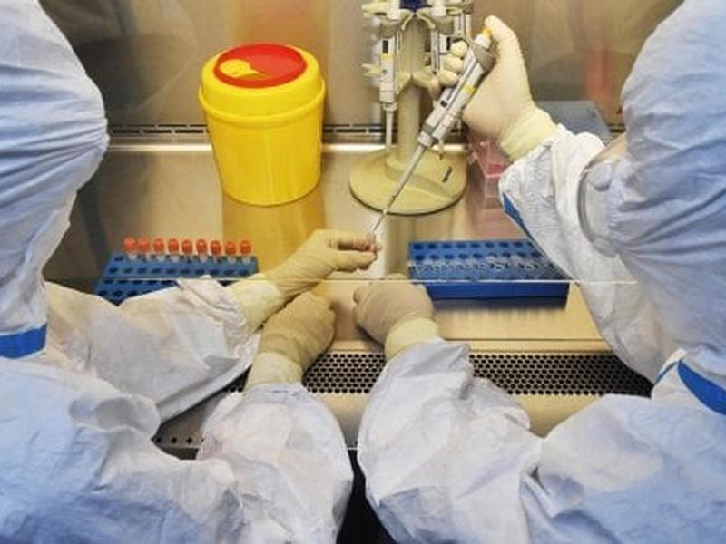 La Regione: “False le notizie sulla non lavorazione dei tamponi”