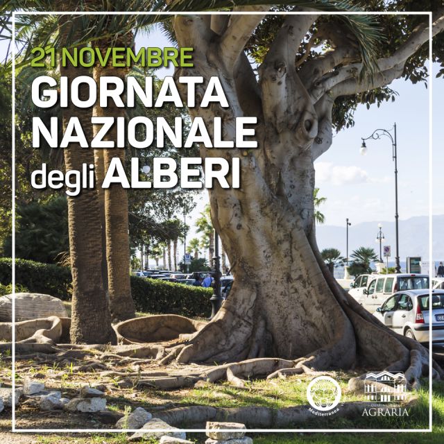 Reggio, anche la Facoltà di Agraria celebra la Giornata Nazionale degli Alberi