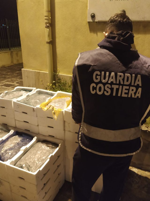 Sequestrata quasi una tonnellata di “nannata” e contestate sanzioni per oltre 50.000 euro