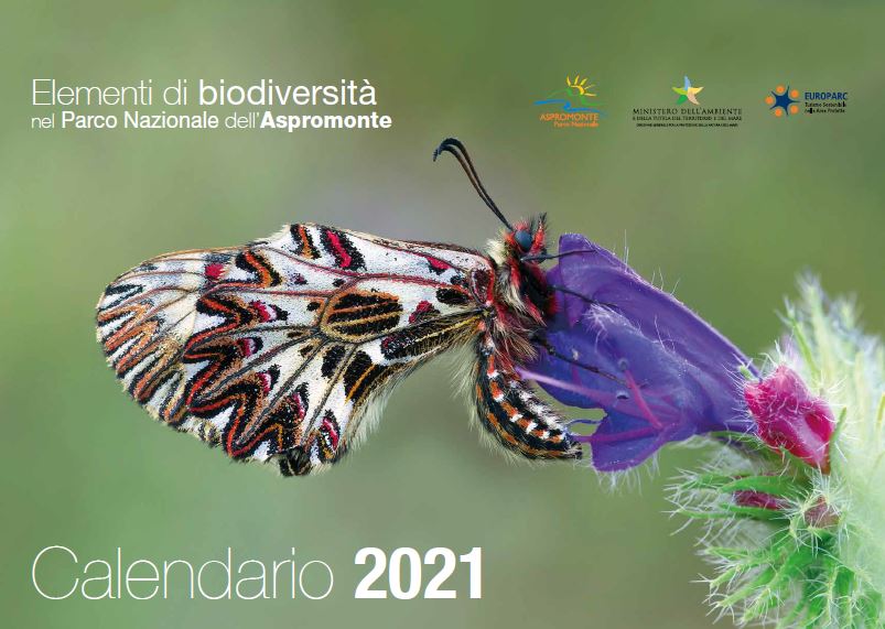 Elementi di Biodiversità nel Parco Nazionale d’Aspromonte, tutta la bellezza in un calendario (DOWNLOAD)