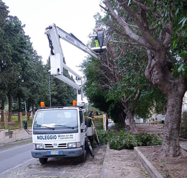 Reggio Calabria, Castore in azione per la potatura degli alberi nel rione Modena