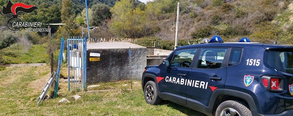 Controlli lungo la fascia ionica dell’alto cosentino da parte dei Carabinieri Forestale