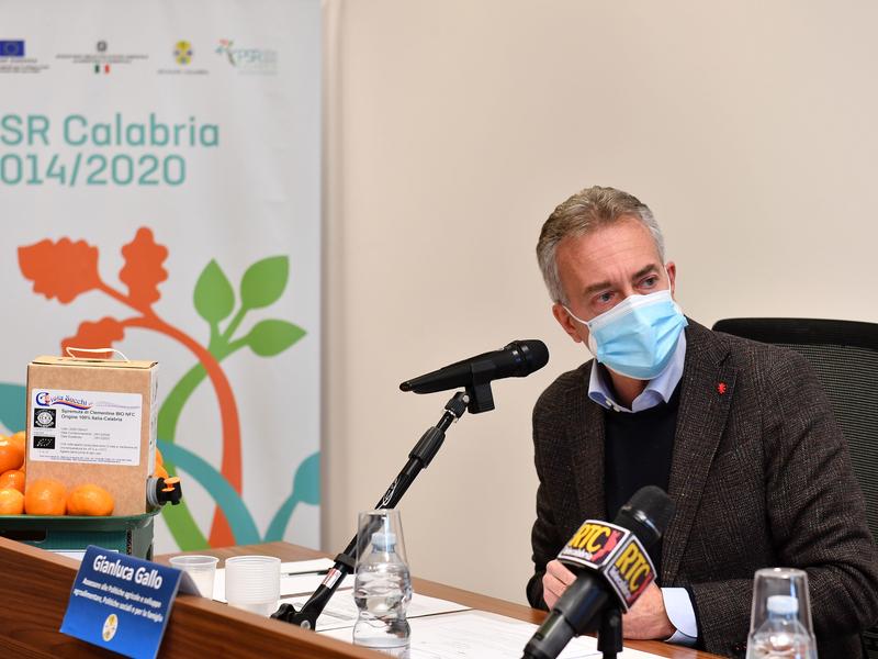 AGRICOLTURA, REGIONE INCONTRA PARTENARIATO E STAKEHOLDER