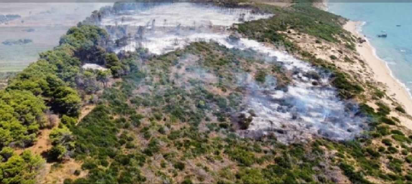 Incendi, Legambiente Calabria: “Basta con l’emergenza infinita, occorre fare chiarezza sulle responsabilità”