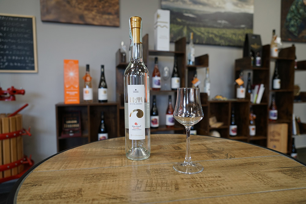 Vibo Valentia – Nasce la prima grappa di Zibibbo di Pizzo