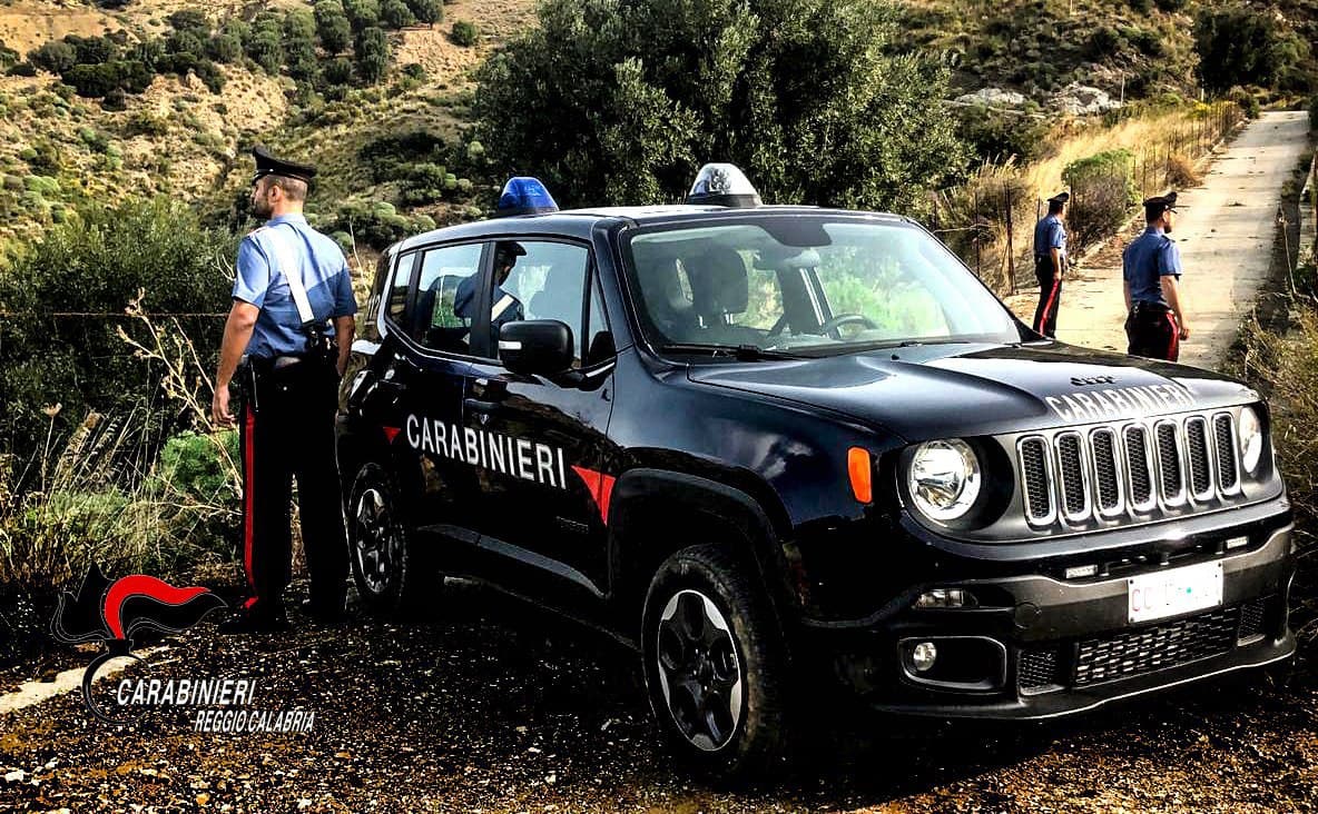 Reggio Calabria – Antonimina, arrestato 58enne per furto tronchi d’albero