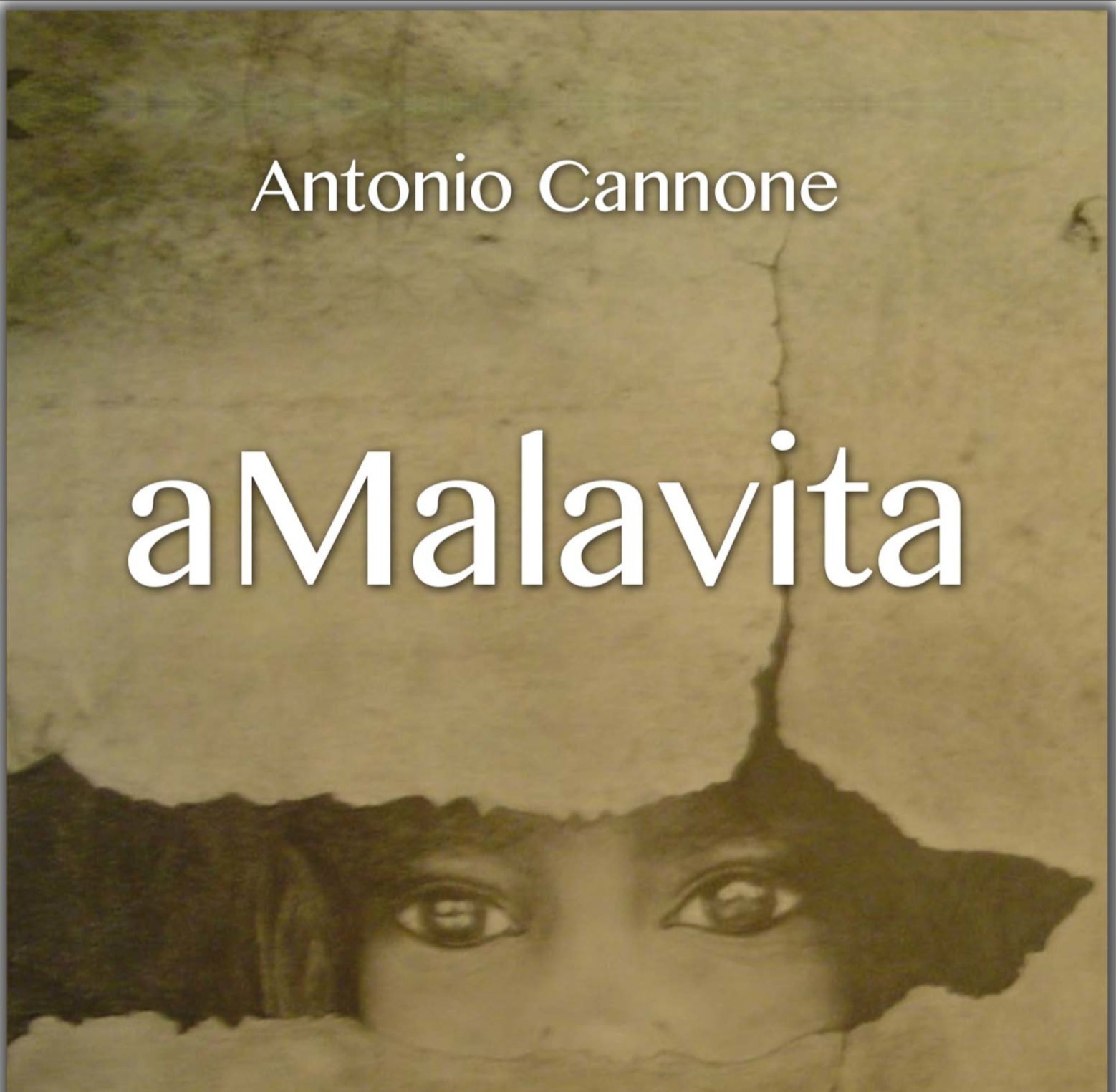 Lamezia Terme – “aMalavita” il nuovo libro di Antonio Cannone