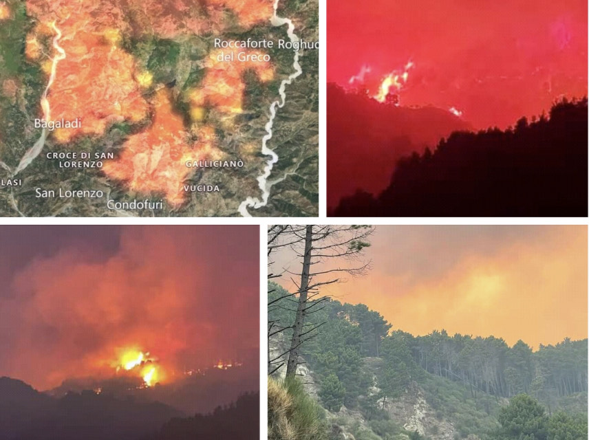 Lega Calabria sugli incendi in Calabria: “Nessuno si volti dall’altra parte”