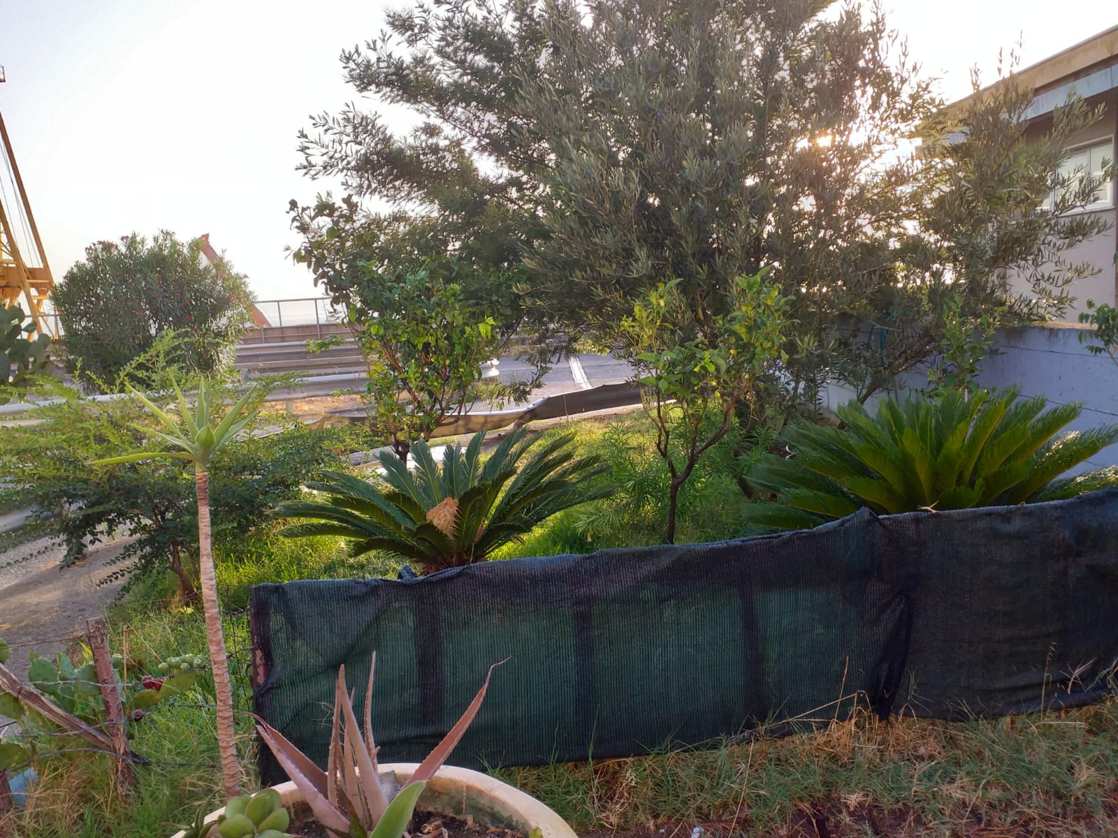 Reggio Calabria – La stazione di Santa Carina è la stazione più green d’Italia