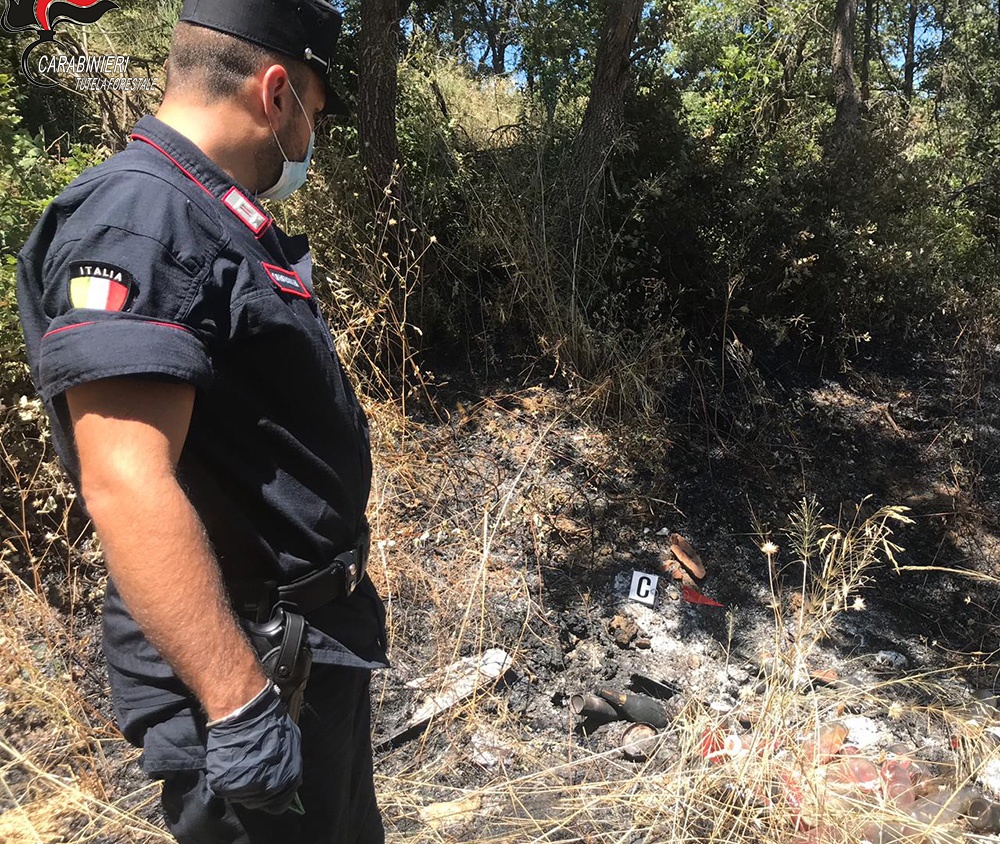 Occupazione e pascolo abusivo su terreni bruciati, abuso d’atti d’ufficio. Cinque le persone denunciate nel cosentino
