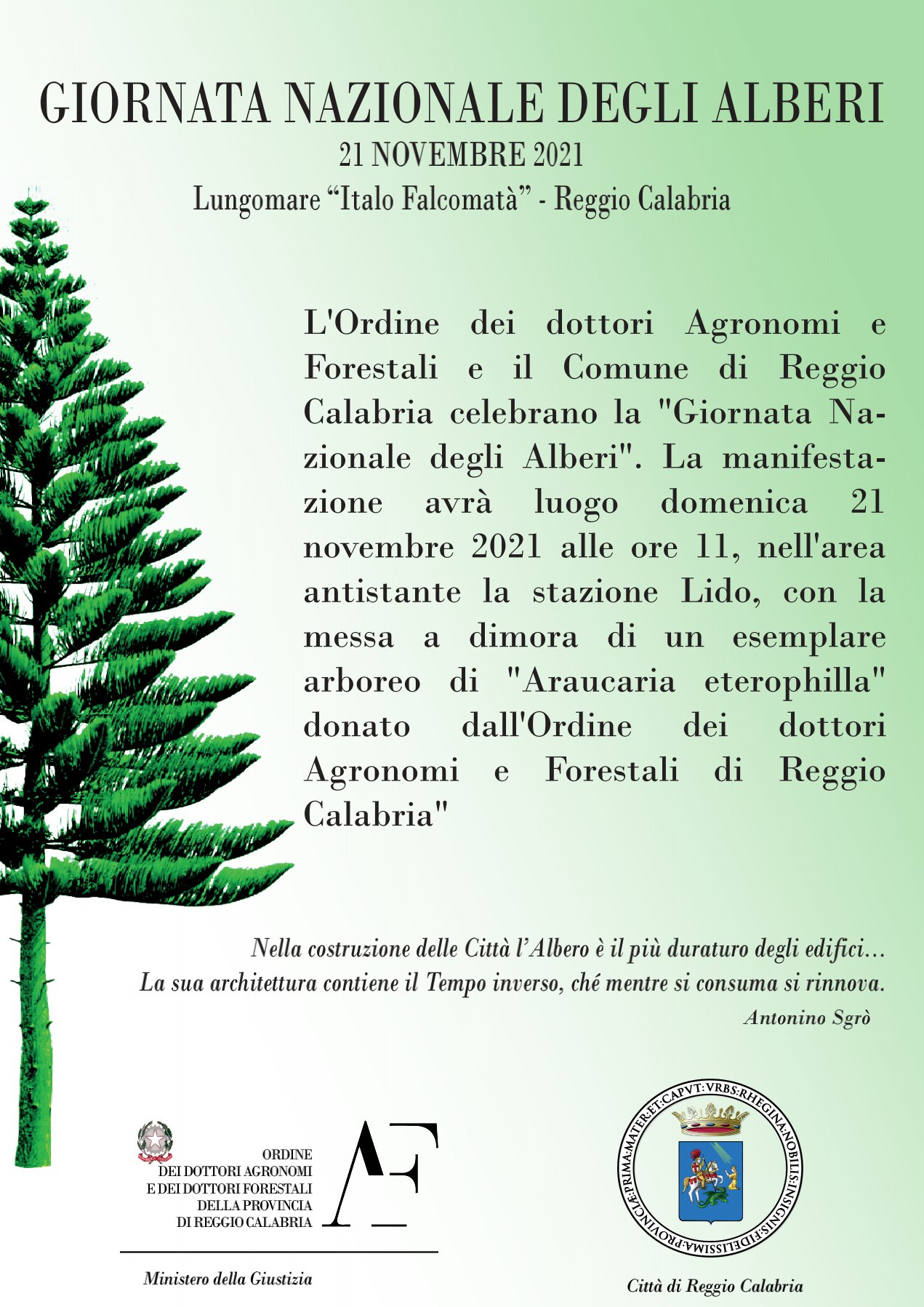Ambiente, Reggio Calabria celebra la Giornata Nazionale degli Alberi
