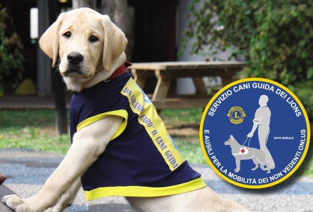 Lions Club Host: un cane guida proveniente dalla Scuola nazionale Lions di Limbiate assegnato a un non vedente reggino