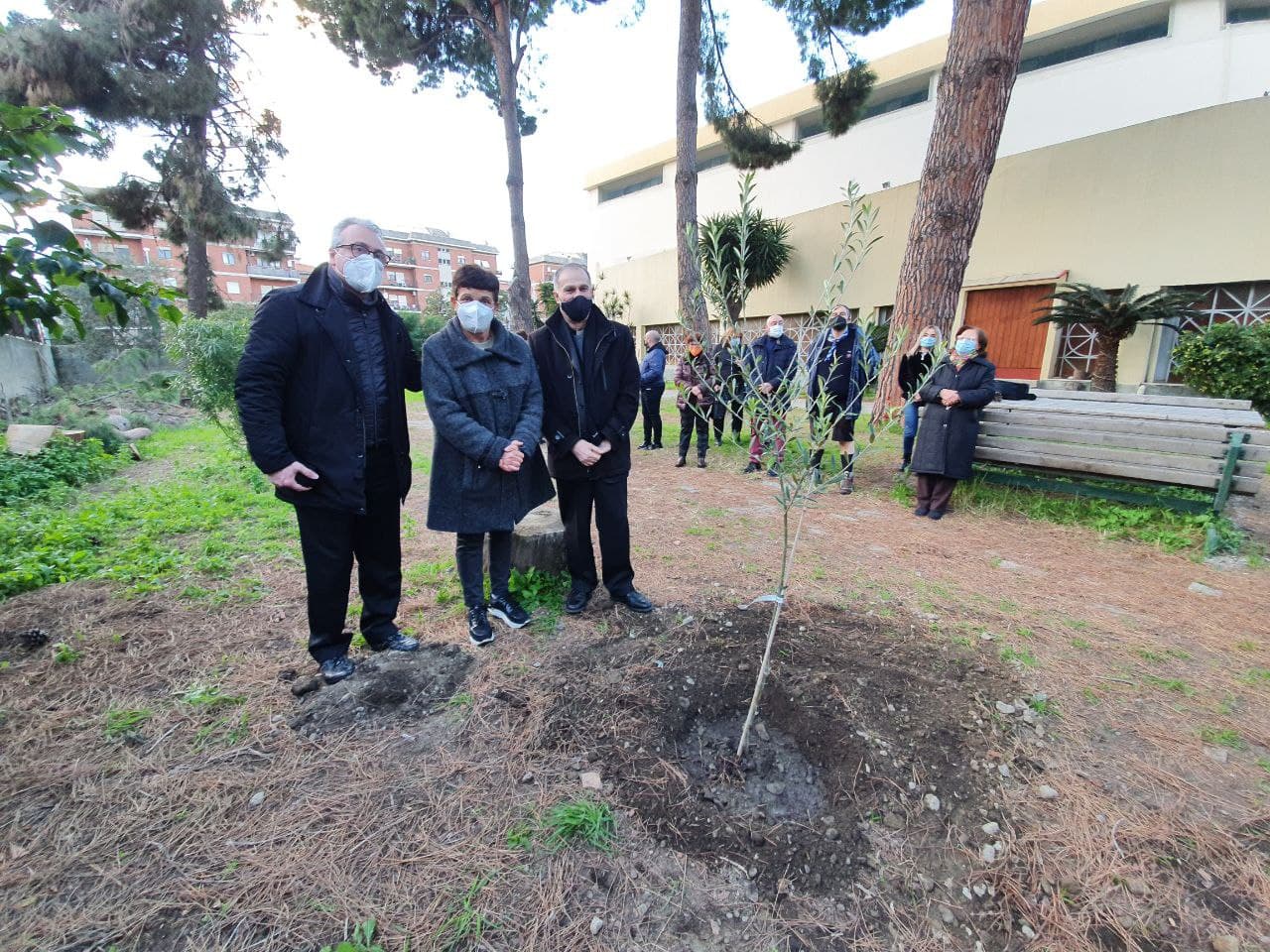 Olivo bianco, piantato l’albero a Reggio Calabria