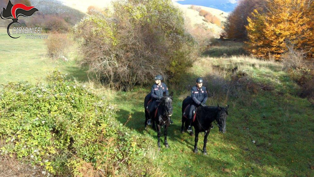 Centauri multati perché non in regola. Poste sotto sequestro amministrativo le loro moto
