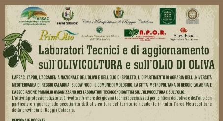 Reggio Calabria – Al via i laboratori tecnico/didattici sull’olivicoltura a Molochio
