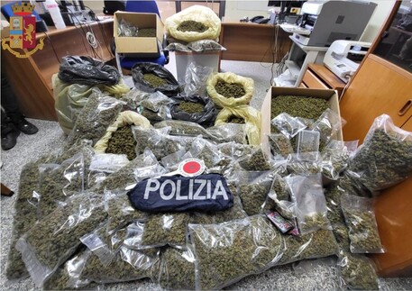 Teneva in casa 51 kg di marijuana, arrestato
