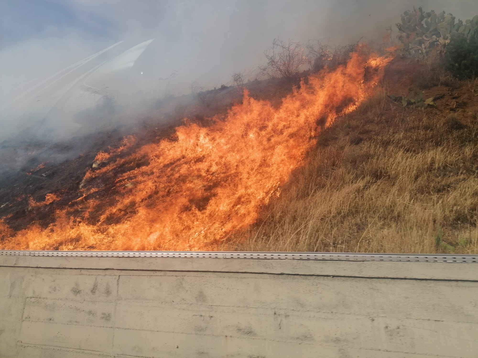 Reggio Calabria assediata dagli incendi (FOTO)